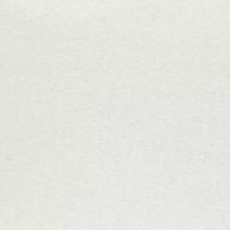 Noble Stone Pure White stone sample from Aviva Stone Granite
