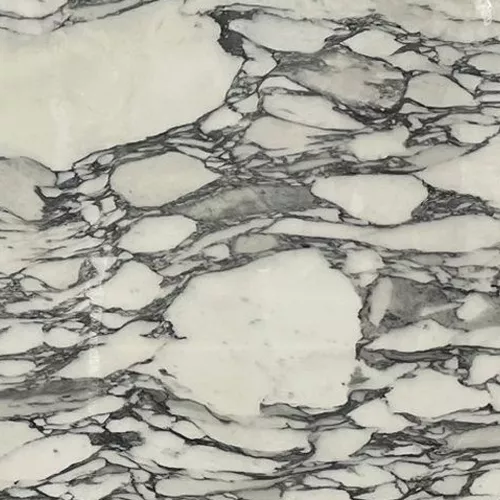 Arabescato Corchia marble stone sample from Aviva Stone Granite